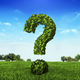 Illustration for article titled All Right -- What Happened to the Tree? em/emem/em